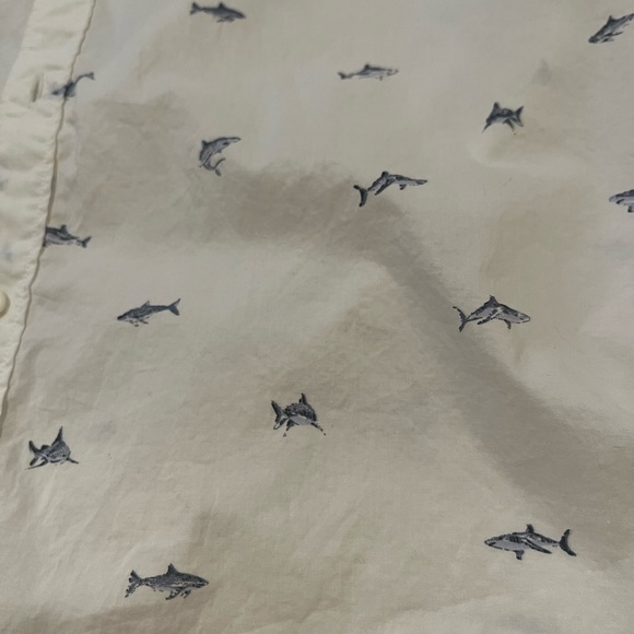 Bonobos Riviera - Picture 3 of 3